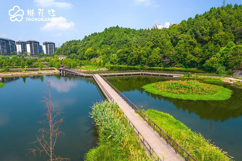 Yichang Shahe Wetland Park