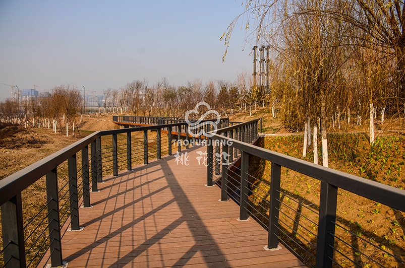Xinwei Sha Wetland Park with Bamboo Decking